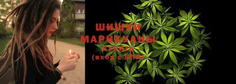 даркнет сайт  Белёв  Шишки марихуана OG Kush 